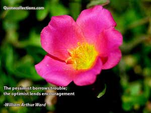 william_arthur_ward_quotes Quotes 1